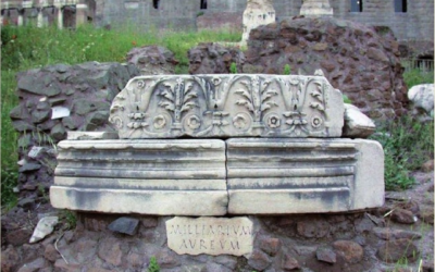 Osservatorio Romano sulle Migrazioni – Decimo Rapporto